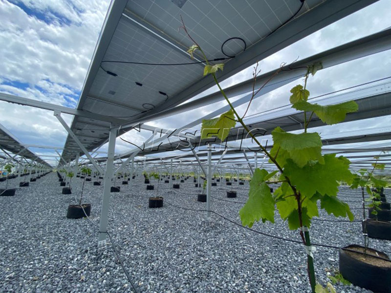 High-clearance agrivoltaic mounting system Kseng-Energy-Agri-PV-structure-de-montage