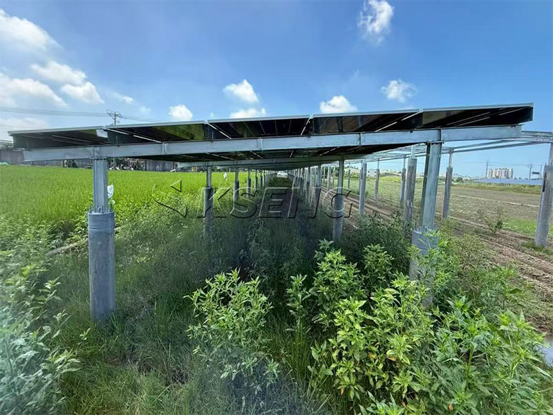Montage au sol solaire en acier au carbone