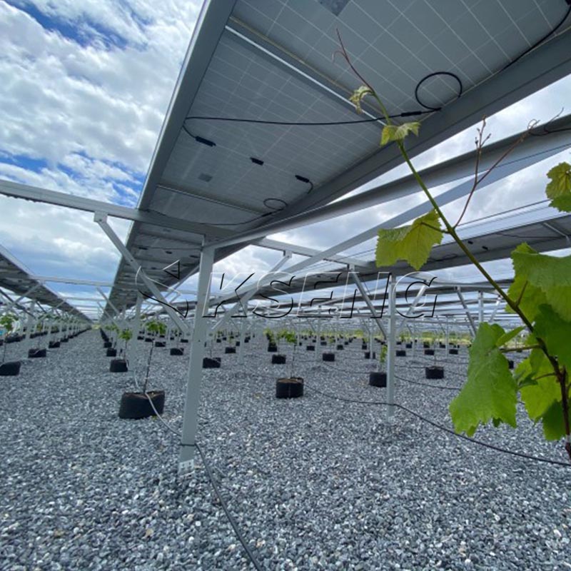 Système agricole de ferme solaire Système de montage au sol solaire photovoltaïque